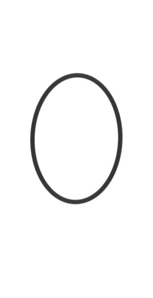 Micro Motion 1700 / 2700 Replacement O-Ring